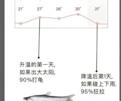 手机出售iphone17